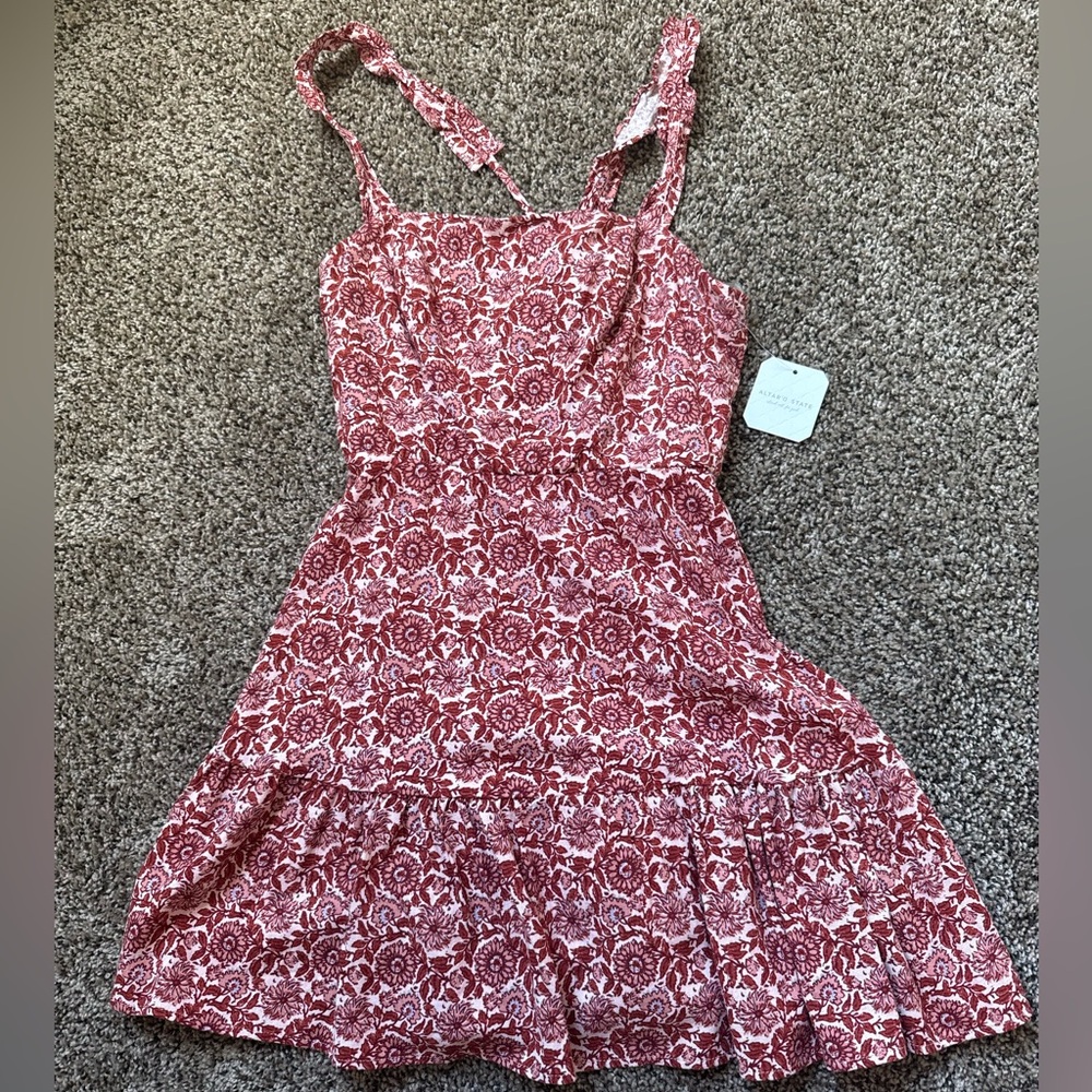 Altar’d State Dayana mini floral dress
